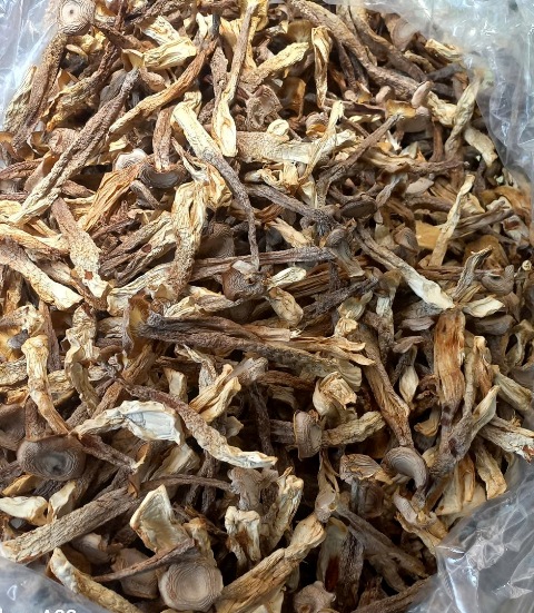 Nấm Lộc Nhung Khô Size Lớn