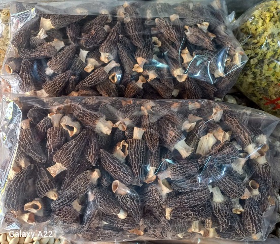 Nấm Bụng Dê Cao Cấp