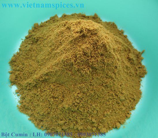 Bột Cumin, Bột Caraway, Bột Thì là Ai Câp