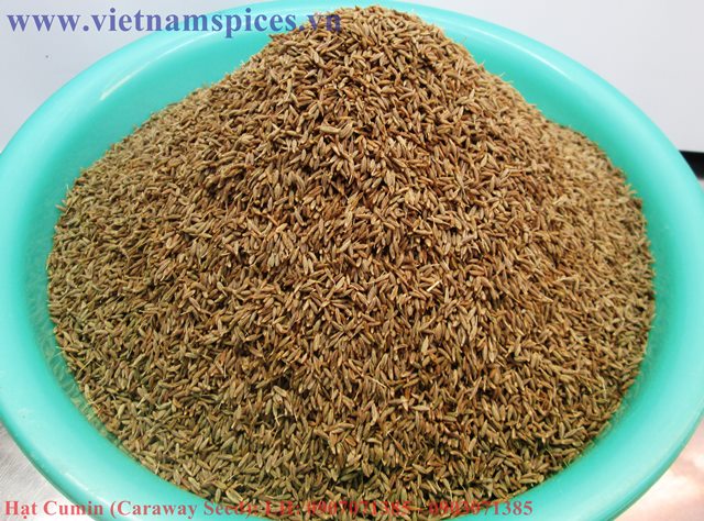 Hạt Thì Là Ai Cập (Cumin Seed, Siron Seed, Caraway Seed)