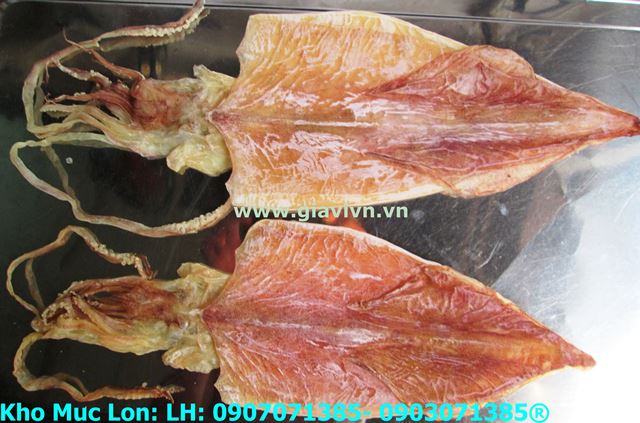 Khô Mực Cao Cấp (10 Con/kg) Phú Quốc