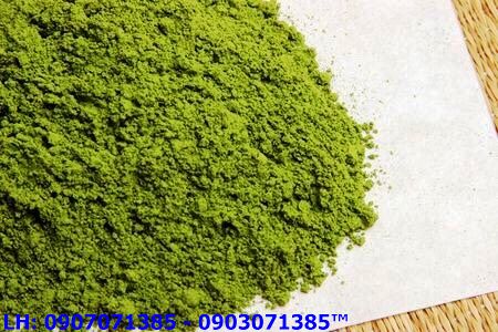 Bột Matcha Trà Xanh Khổ Qua Rừng 