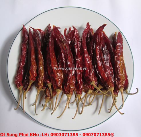 Ớt Sừng Khô Cao Cấp